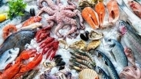 SEAFOOD Fish & VEGETABLES - JEZ PROJEKTI D.O.O. Business & Co.